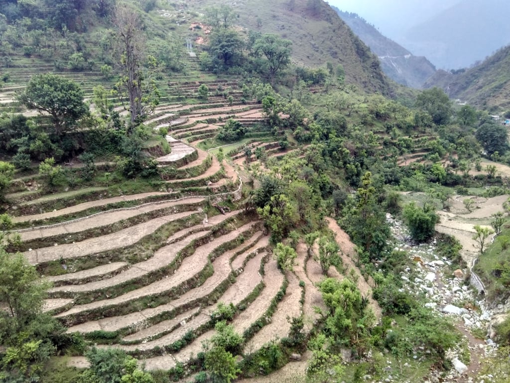 Nature-based Solutions for Humanitarians - RedR UK